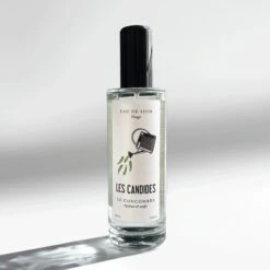 Eau De Soin Visage Le Concombre - 100 Ml