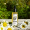 Huile De Soin Visage Camomille - 50 Ml